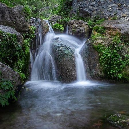 צ'קרטה Babutaal Resort מראה חיצוני תמונה