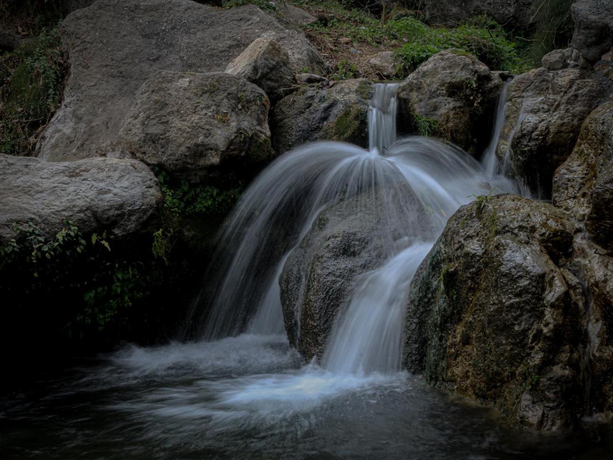 צ'קרטה Babutaal Resort מראה חיצוני תמונה
