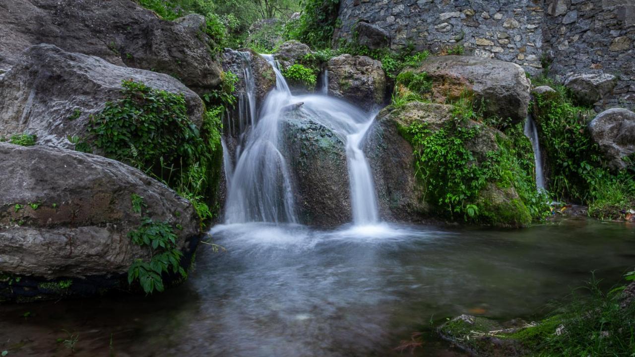 צ'קרטה Babutaal Resort מראה חיצוני תמונה