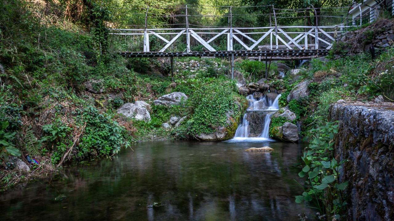 צ'קרטה Babutaal Resort מראה חיצוני תמונה