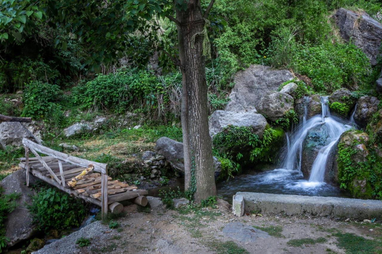 צ'קרטה Babutaal Resort מראה חיצוני תמונה